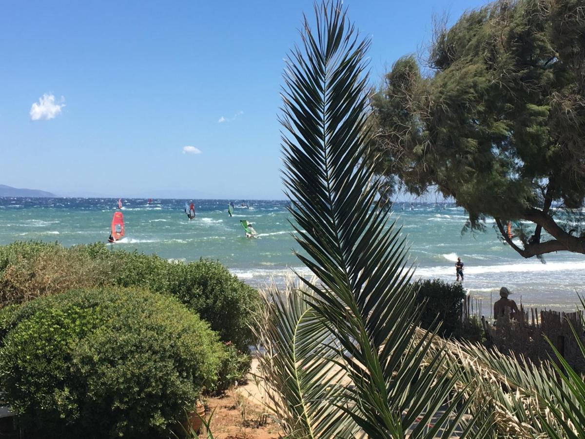 Windsurfing Seaside Apartment Artemida Dış mekan fotoğraf