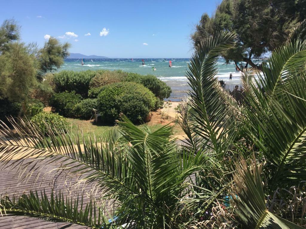 Windsurfing Seaside Apartment Artemida Dış mekan fotoğraf