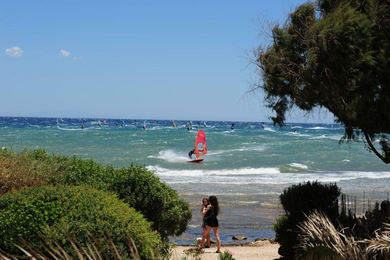 Windsurfing Seaside Apartment Artemida Dış mekan fotoğraf