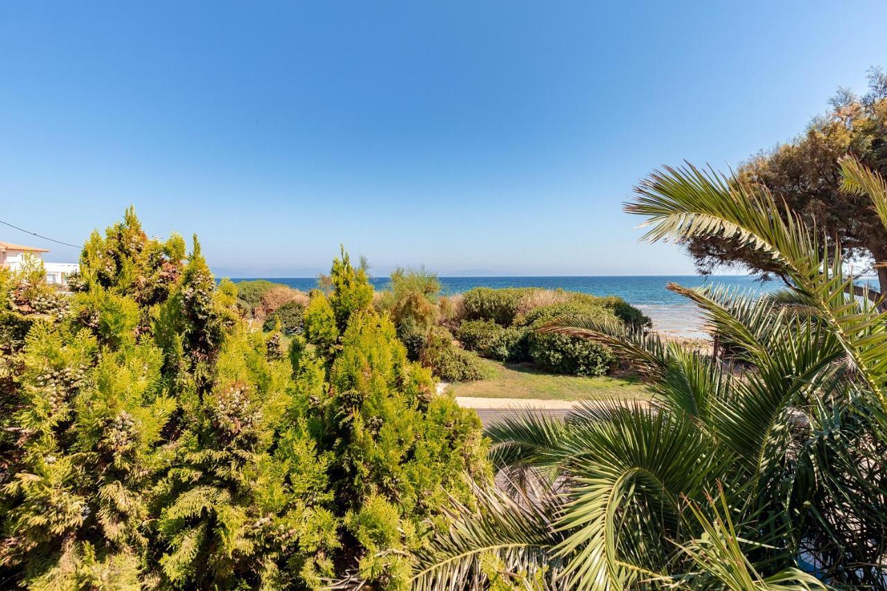 Windsurfing Seaside Apartment Artemida Dış mekan fotoğraf