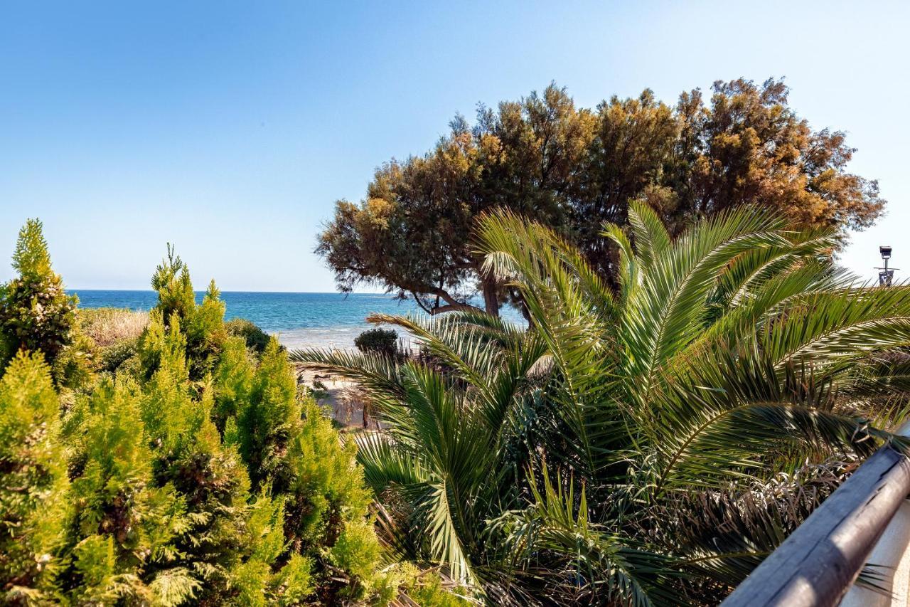 Windsurfing Seaside Apartment Artemida Dış mekan fotoğraf